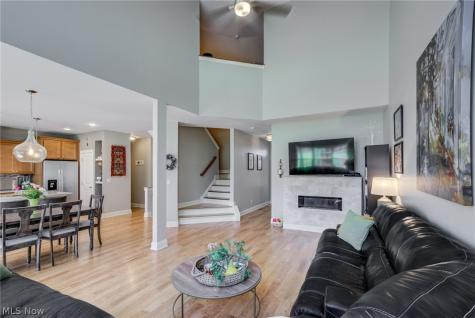 3455 Briar Ridge Court Westlake OH 44145