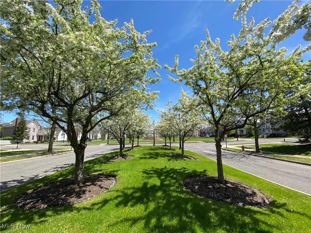 4384 Sexton Road Cleveland OH 44105