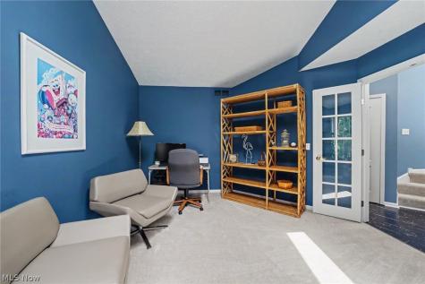 959 Grand View Lane Aurora OH 44202