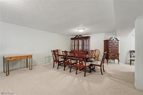 959 Grand View Lane Aurora OH 44202