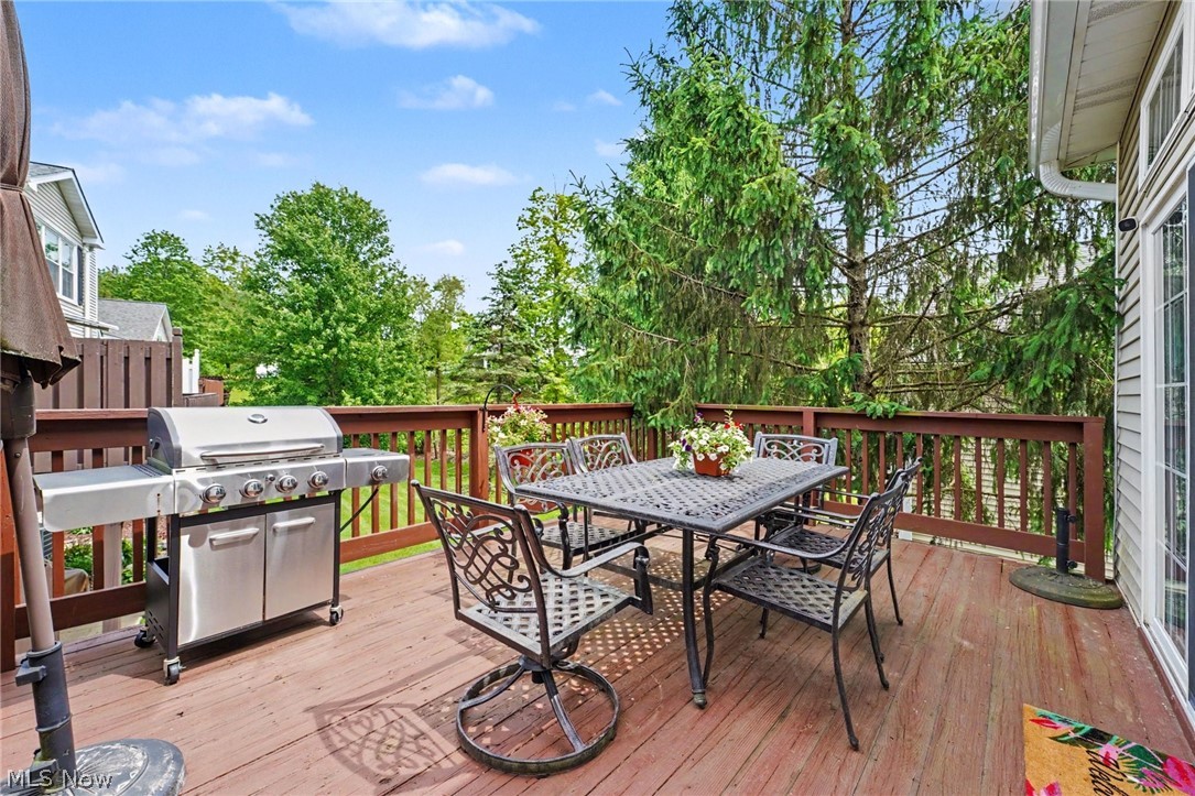 959 Grand View Lane Aurora OH 44202