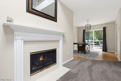 7555 Chandler Court Northfield OH 44067