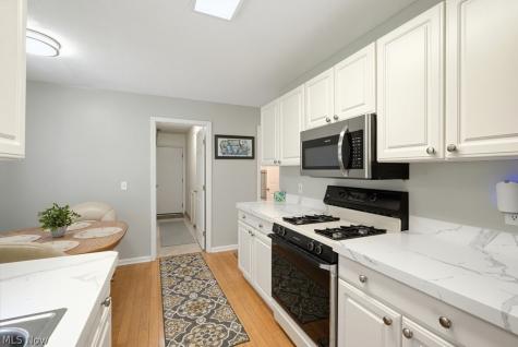 7555 Chandler Court Northfield OH 44067