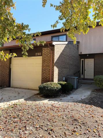 290 Stone Arch Drive Akron OH 44307
