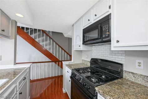 1033 Sunhaven Drive Medina OH 44256