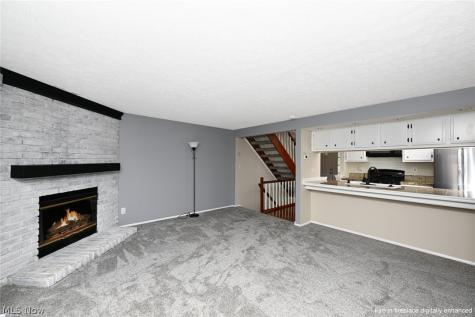 1033 Sunhaven Drive Medina OH 44256