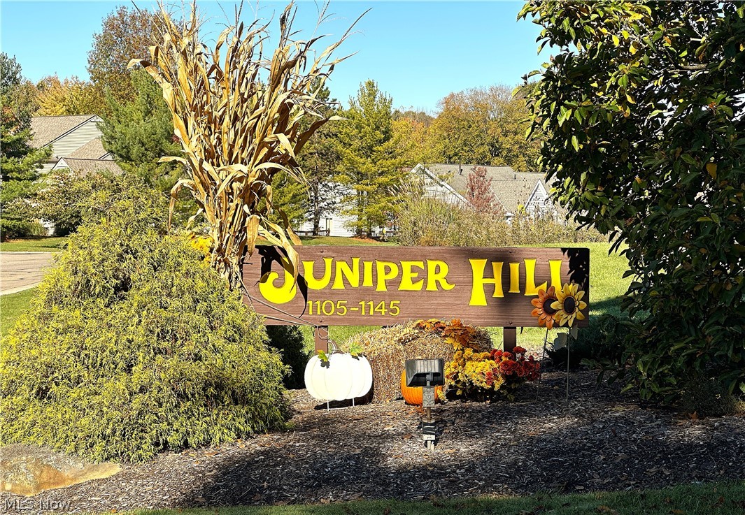 1105 Canyon View Road Sagamore Hills OH 44067