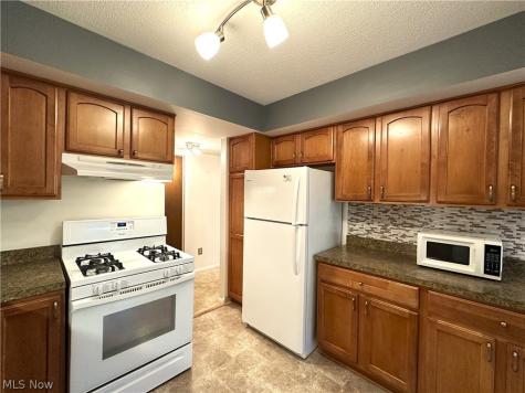 1105 Canyon View Road Sagamore Hills OH 44067