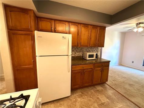 1105 Canyon View Road Sagamore Hills OH 44067