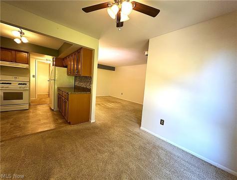 1105 Canyon View Road Sagamore Hills OH 44067