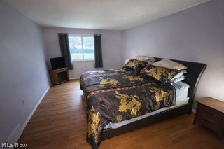 5551 Ivy Court Willoughby OH 44094