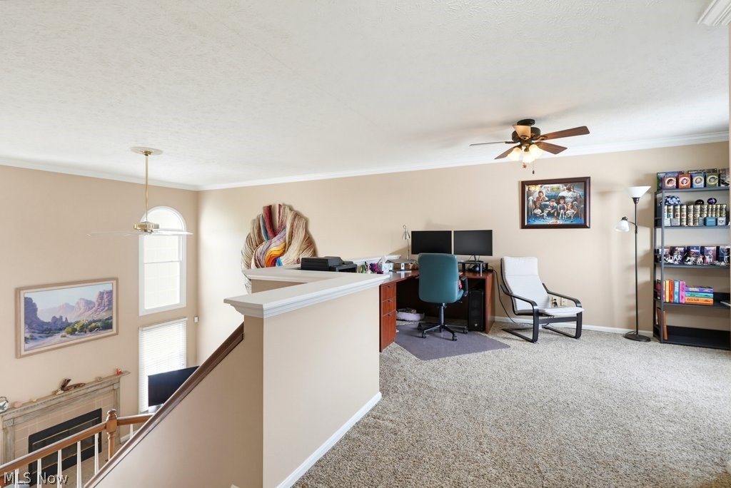 6628 Hidden Lake Trail Brecksville OH 44141