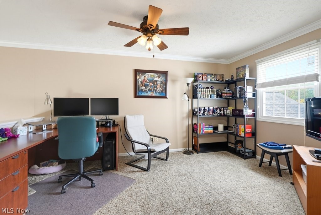 6628 Hidden Lake Trail Brecksville OH 44141