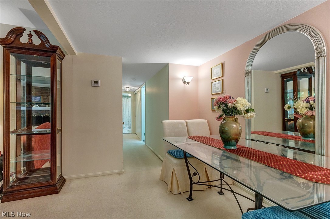 6985 Carriage Hill Drive Brecksville OH 44141