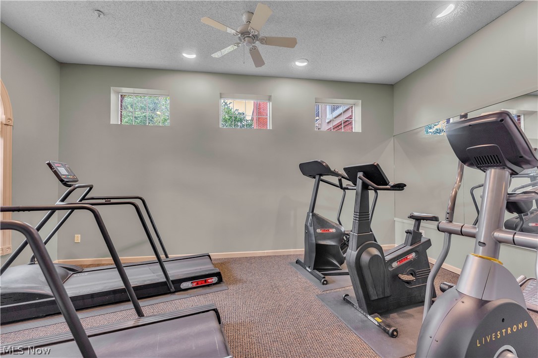 180 Fox Hollow Drive Mayfield Heights OH 44124
