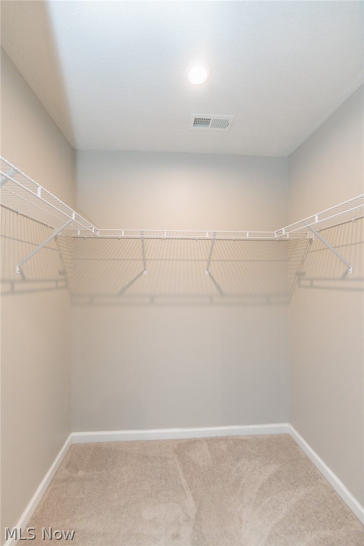 784 Pine Spring Drive Painesville OH 44077