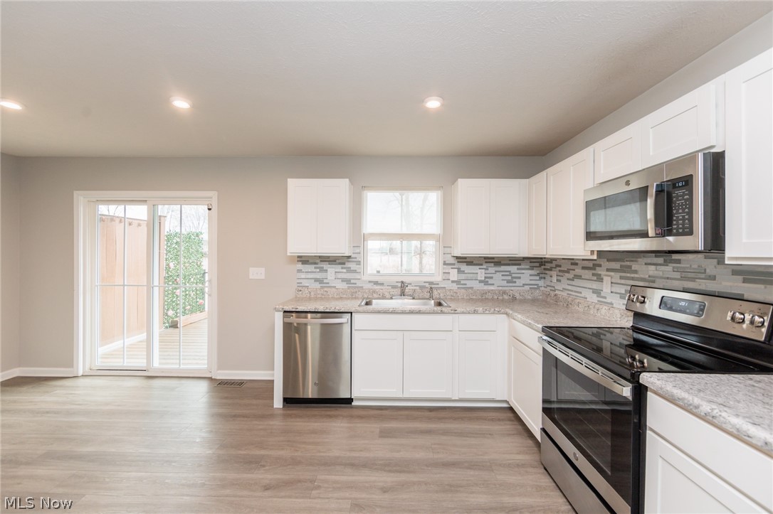 784 Pine Spring Drive Painesville OH 44077