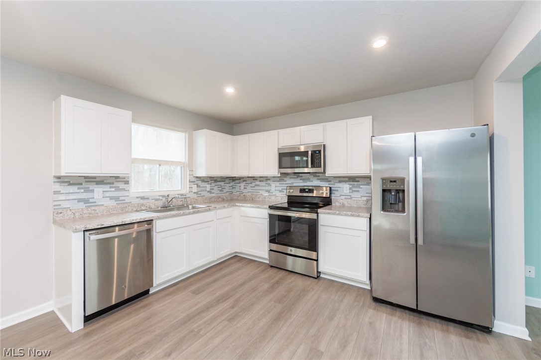 784 Pine Spring Drive Painesville OH 44077