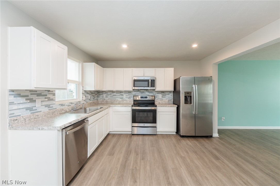 784 Pine Spring Drive Painesville OH 44077