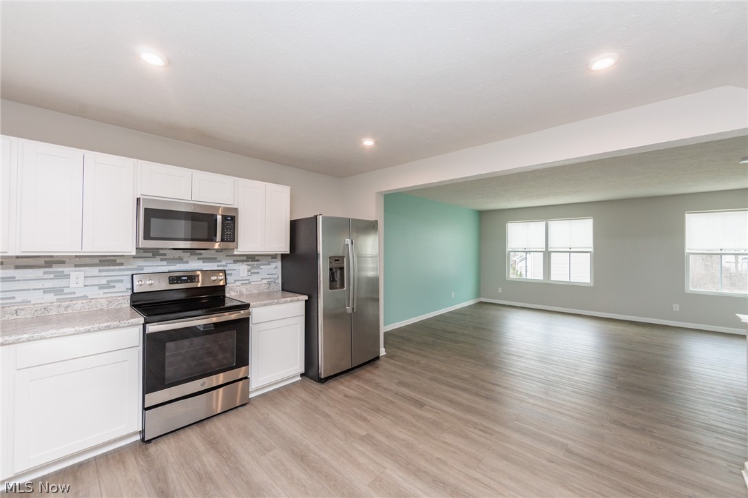784 Pine Spring Drive Painesville OH 44077