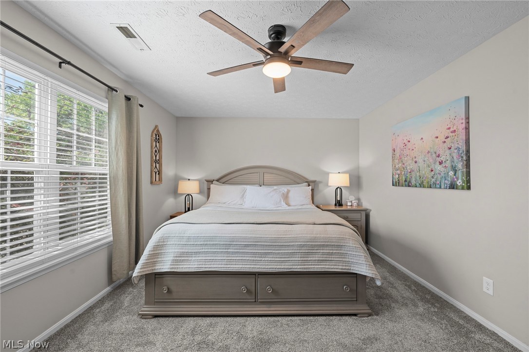 23213 Grist Mill Court Olmsted Falls OH 44138