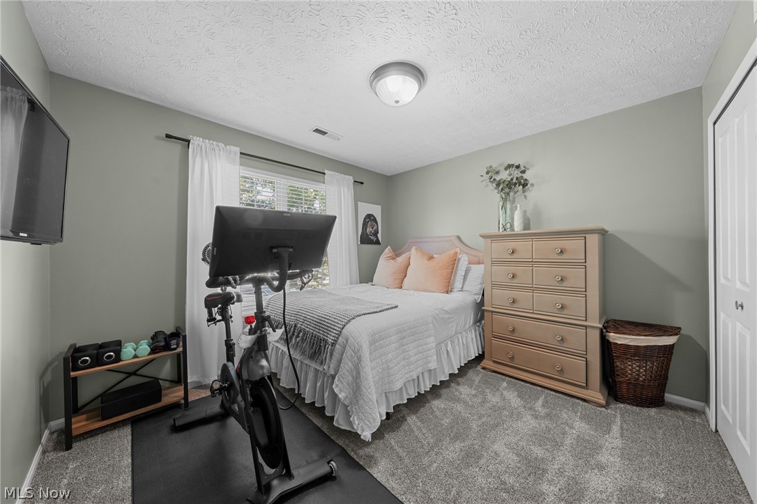 23213 Grist Mill Court Olmsted Falls OH 44138