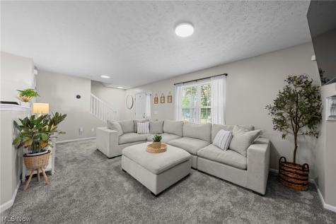 23213 Grist Mill Court Olmsted Falls OH 44138