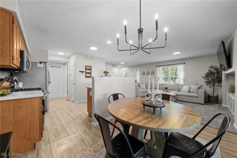 23213 Grist Mill Court Olmsted Falls OH 44138