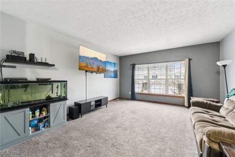 3769 Freedom Place Lorain OH 44053