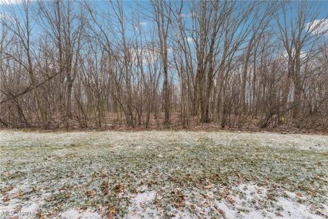3769 Freedom Place Lorain OH 44053