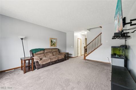 3769 Freedom Place Lorain OH 44053