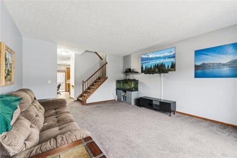 3769 Freedom Place Lorain OH 44053