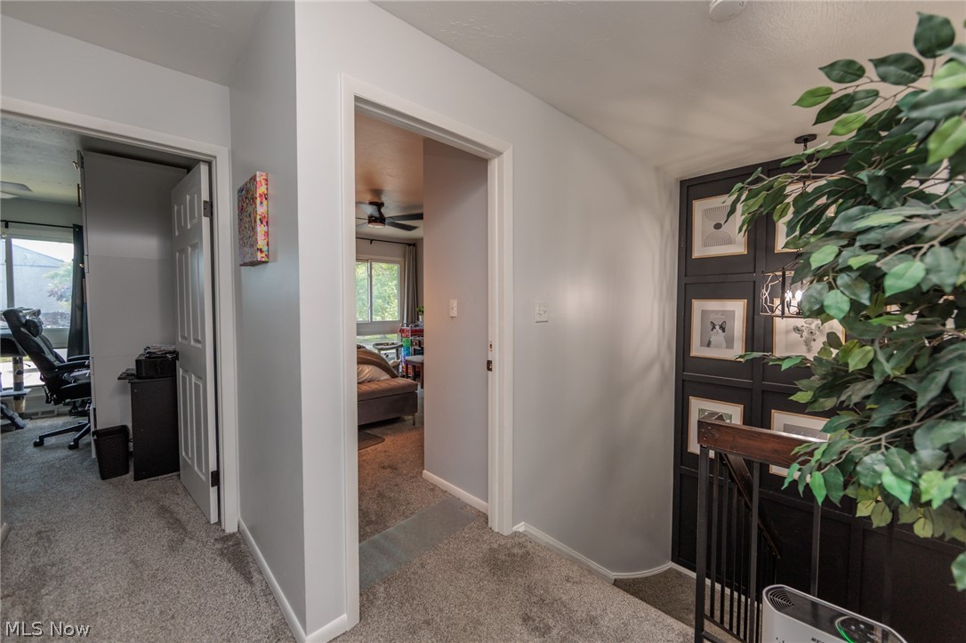 1135 Canyon View Road Northfield OH 44067