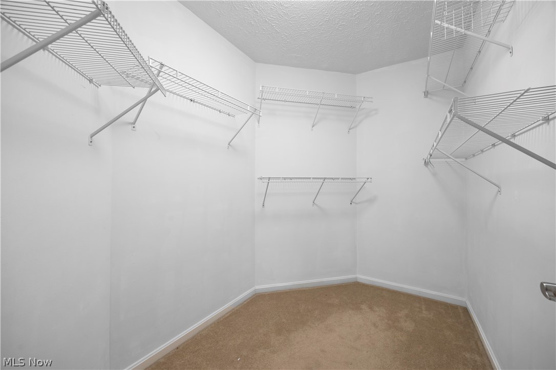 407 Clearbrook Drive Avon Lake OH 44012