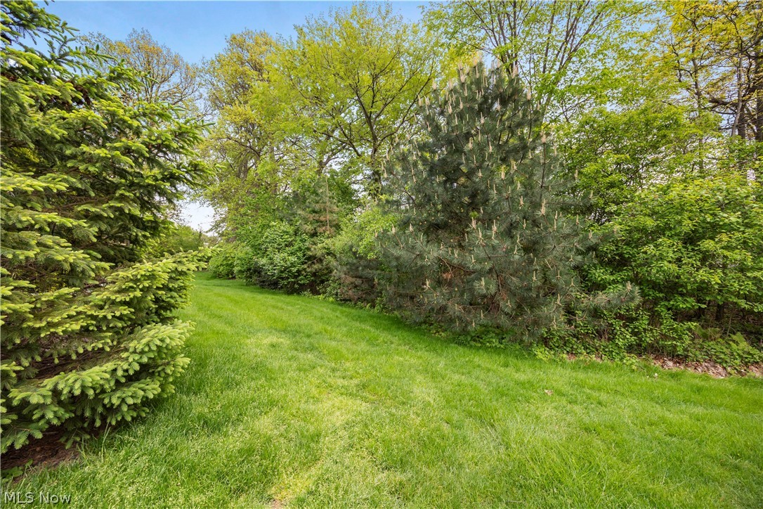407 Clearbrook Drive Avon Lake OH 44012