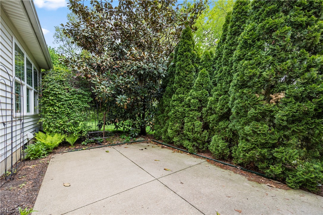 407 Clearbrook Drive Avon Lake OH 44012