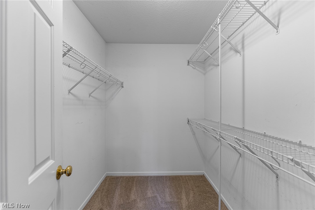 3649 Indian Run Drive Canfield OH 44406