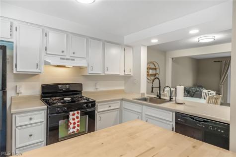 3848 Lake Run Boulevard Stow OH 44224