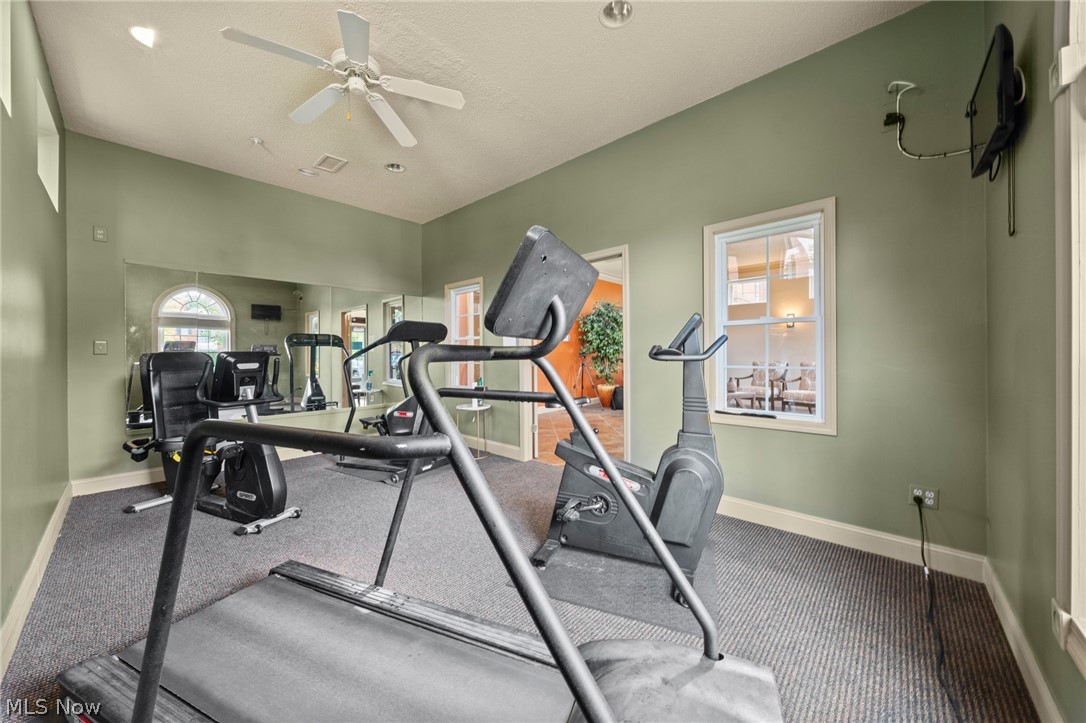 220 Fox Hollow Drive Mayfield Heights OH 44124
