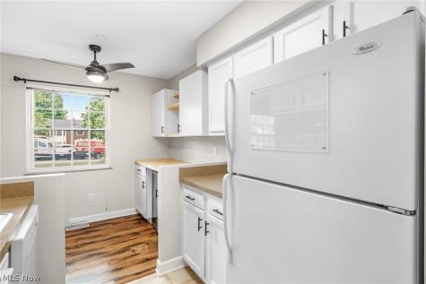 2885 Pease Drive Rocky River OH 44116
