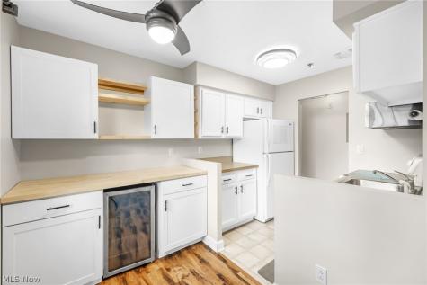 2885 Pease Drive Rocky River OH 44116