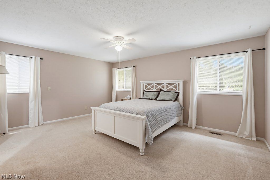 10006 Blossom Lane Twinsburg OH 44087