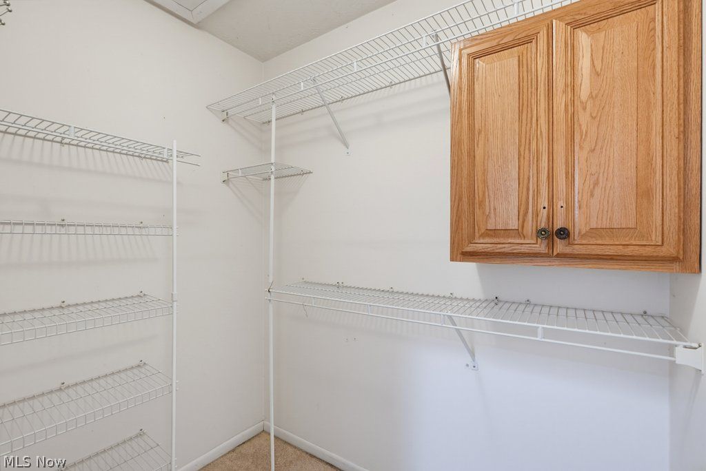 10006 Blossom Lane Twinsburg OH 44087