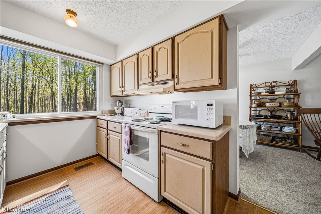 6216 Center Street Mentor OH 44060