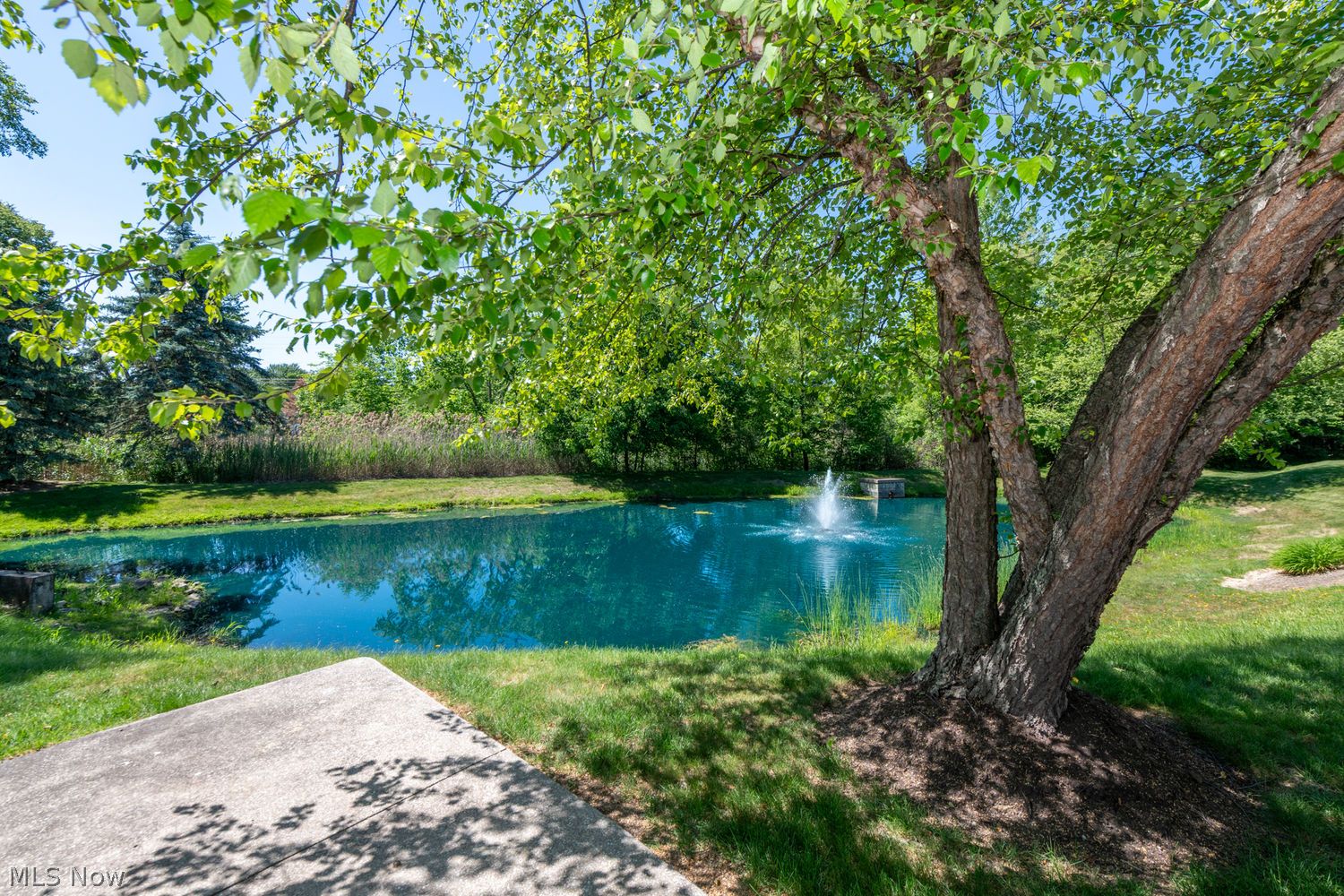 491 Oaklawn Court Aurora OH 44202