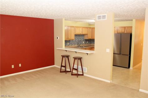 9965 Beverly Lane Streetsboro OH 44241