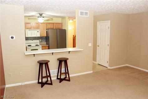 9965 Beverly Lane Streetsboro OH 44241