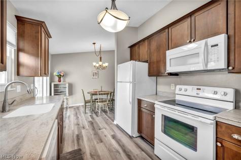 7300 Olde Farm Lane Mentor OH 44060