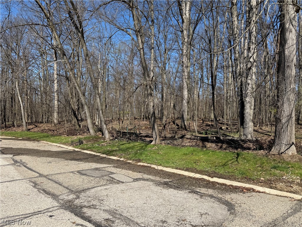 7607 Creekwood Drive North Royalton OH 44133