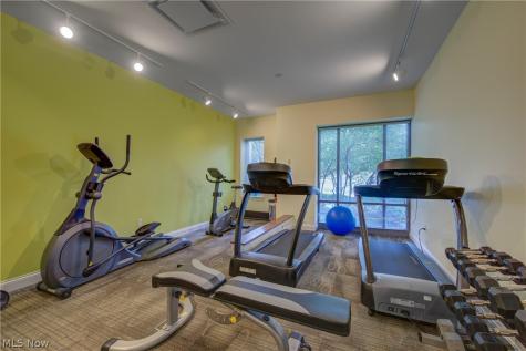 16800 Van Aken Boulevard Shaker Heights OH 44120